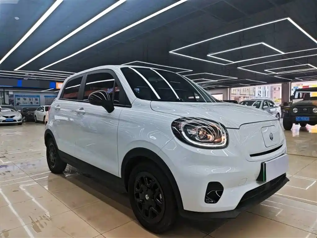 Leapmotor T03 2025 310
