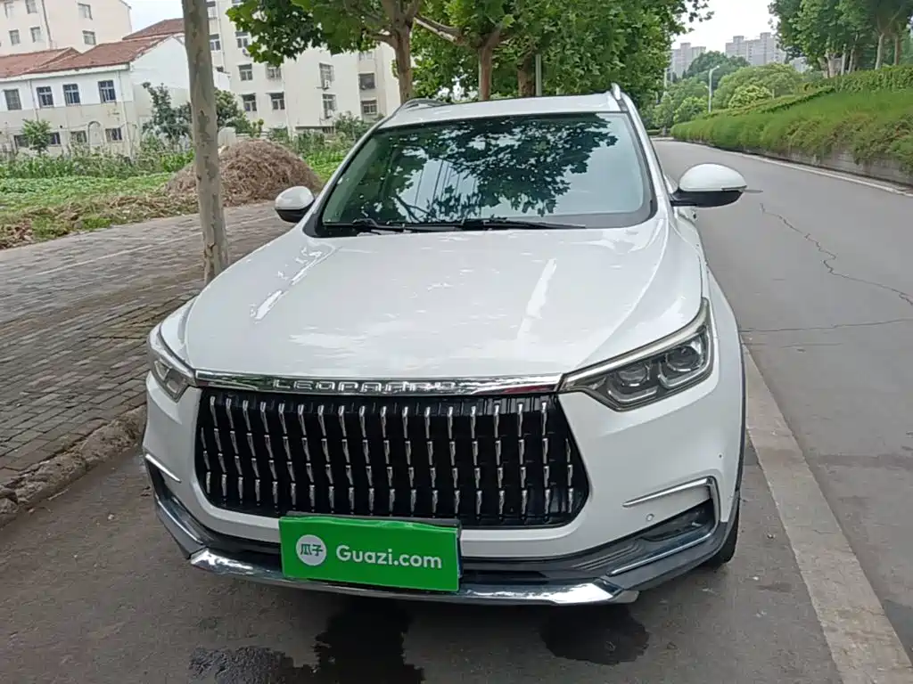 Leopaard Mattu — миниатюра 3