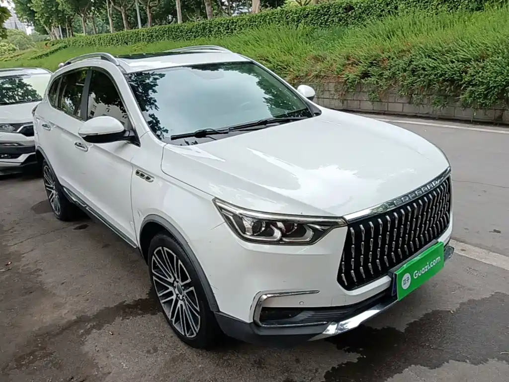 Leopaard Mattu — миниатюра 4