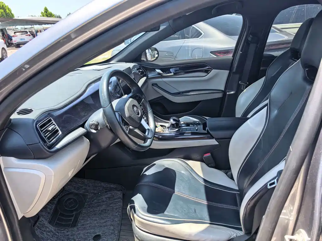 BYD Qin Plus PLUS 2021 DM-i 55KM Flagship
