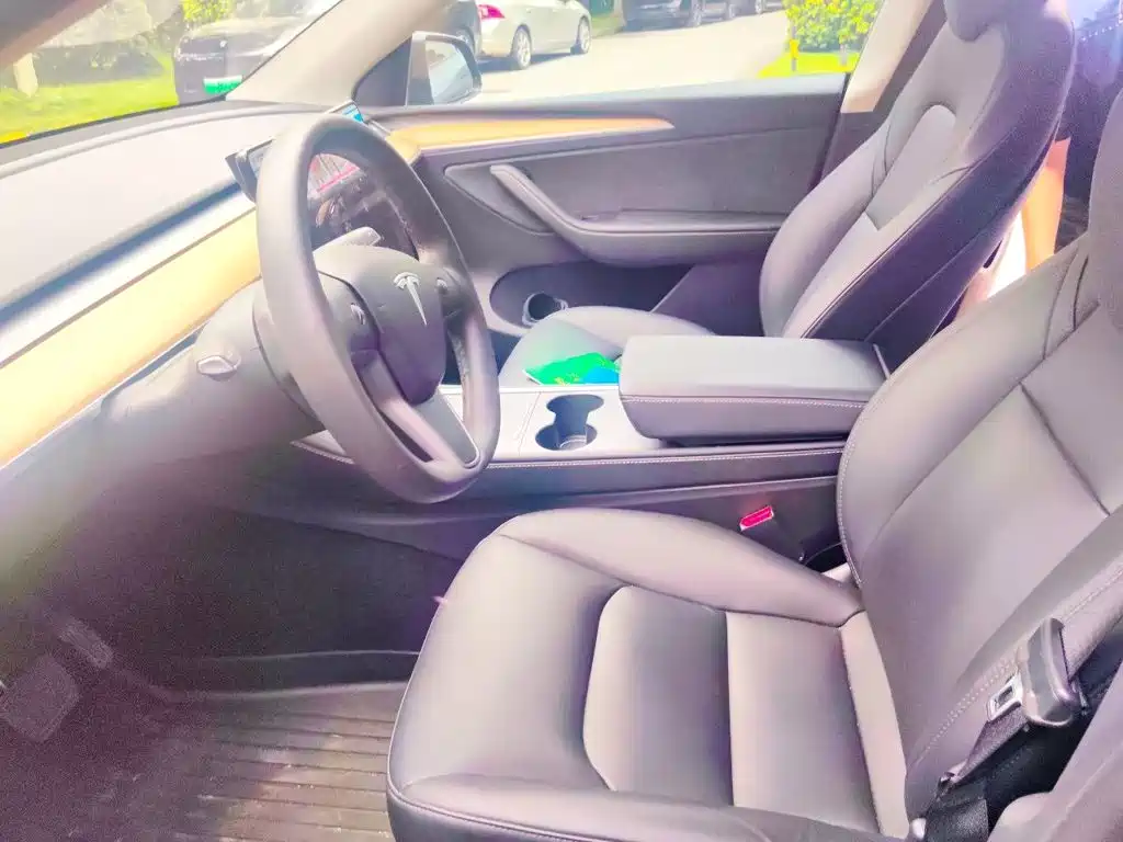 Tesla Model Y — миниатюра 11