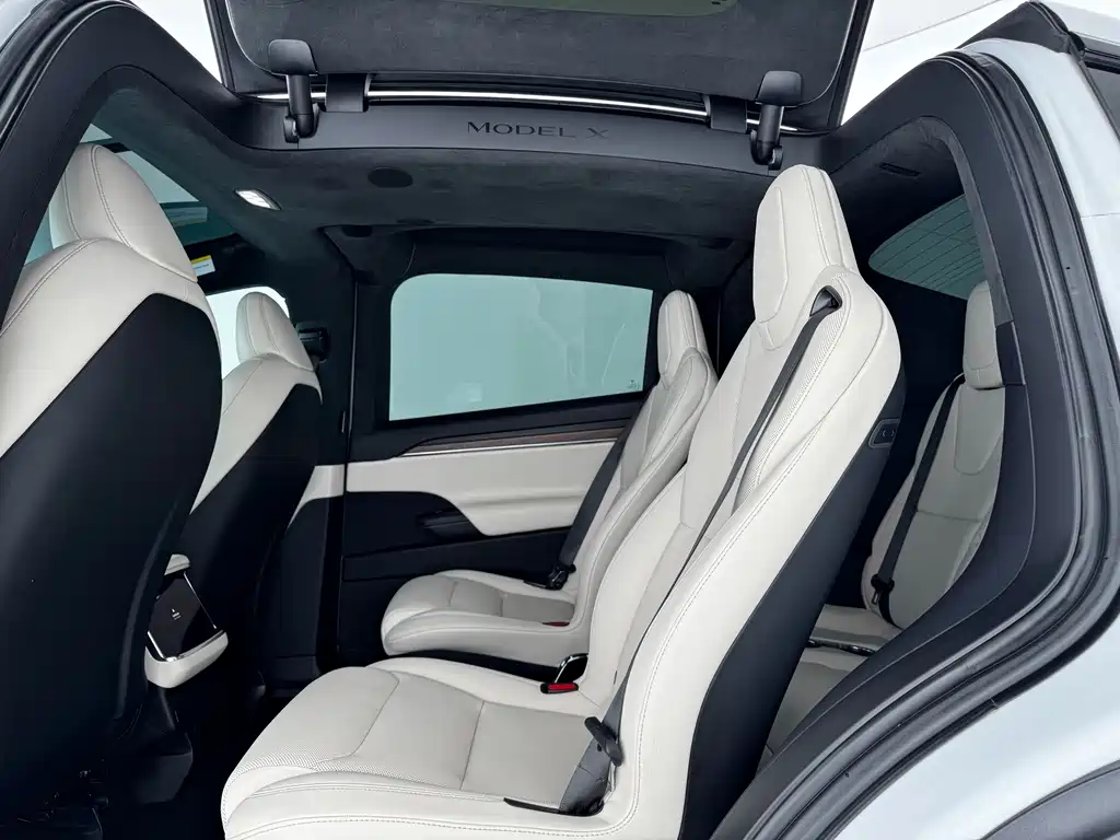 Tesla Model X — миниатюра 9