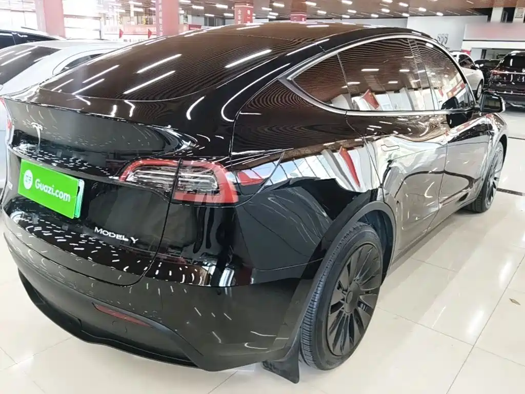 Tesla Model Y — миниатюра 7