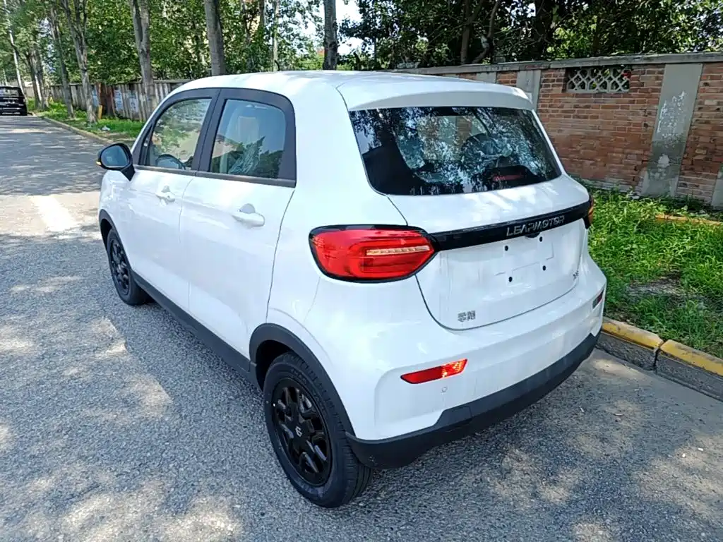 Leapmotor T03 2025 310