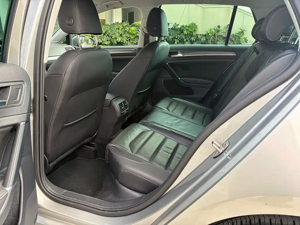 Volkswagen Golf New Energy (Import) — миниатюра 9
