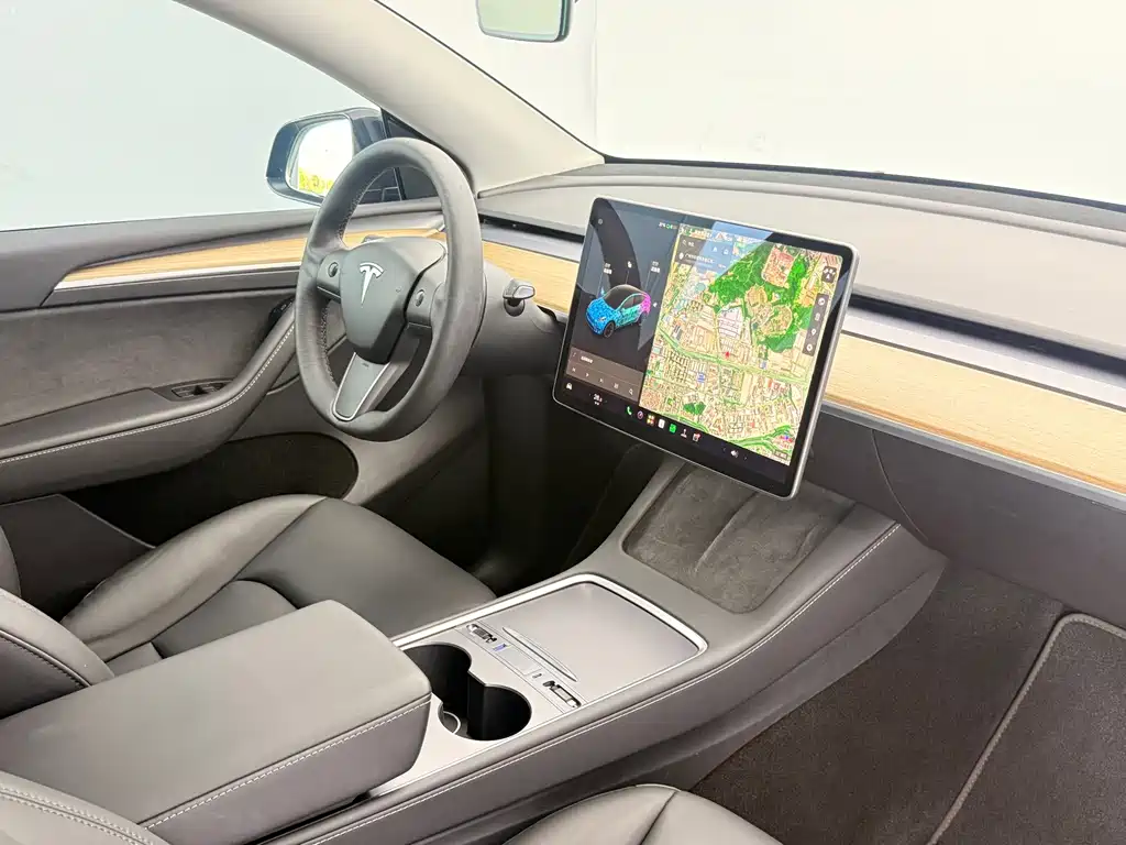 Tesla Model Y — миниатюра 15