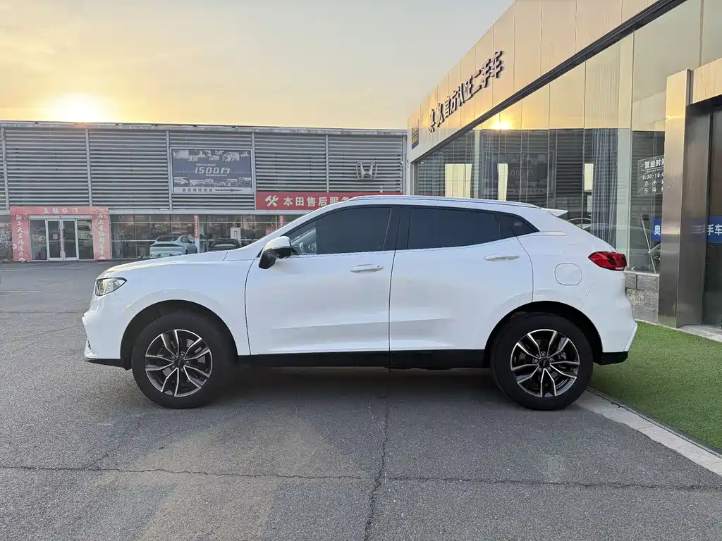 WEI PAI WEI BRAND VV5