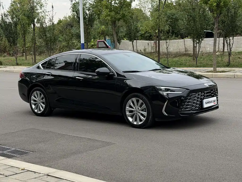 Buick Regal — миниатюра 3
