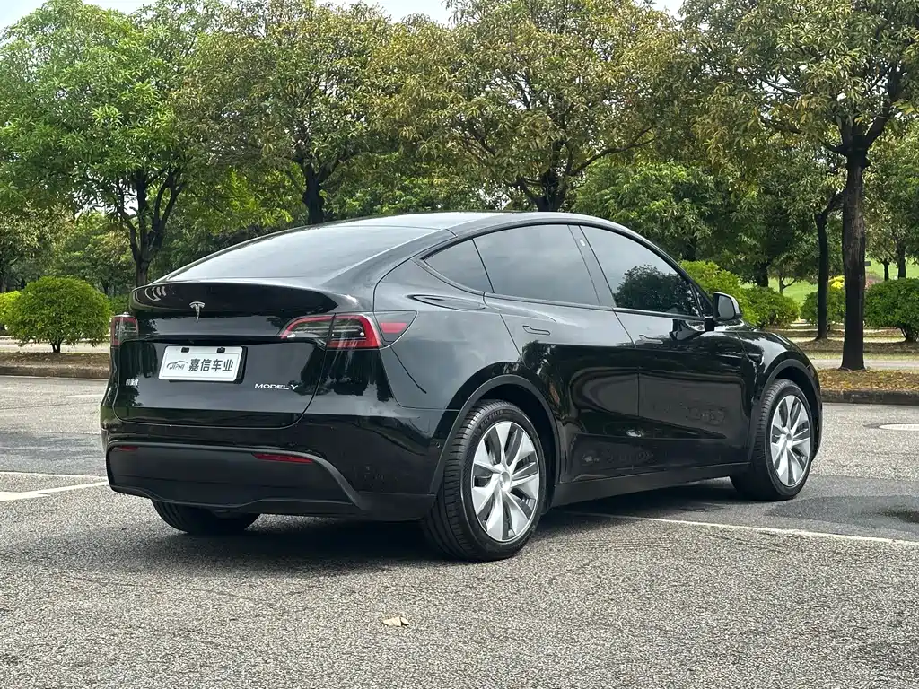 Tesla Model Y — миниатюра 6