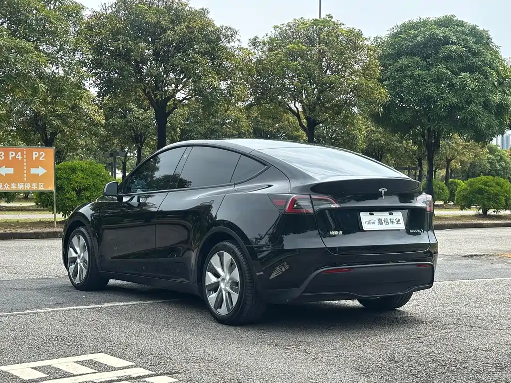 Tesla Model Y — миниатюра 7