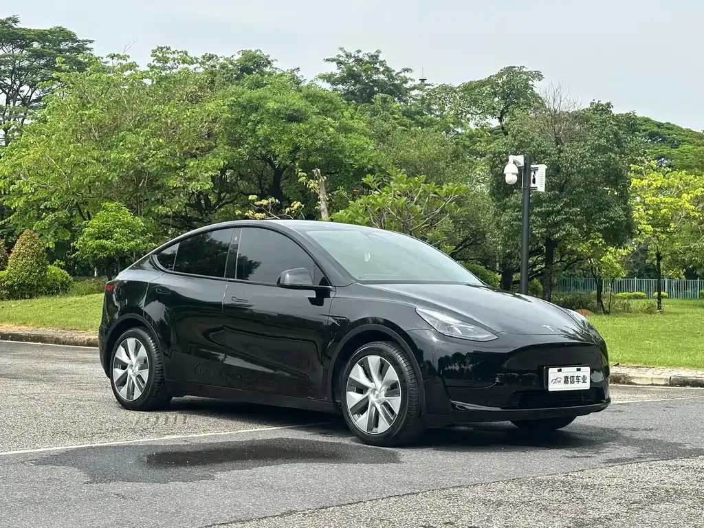 Tesla Model Y — миниатюра 3