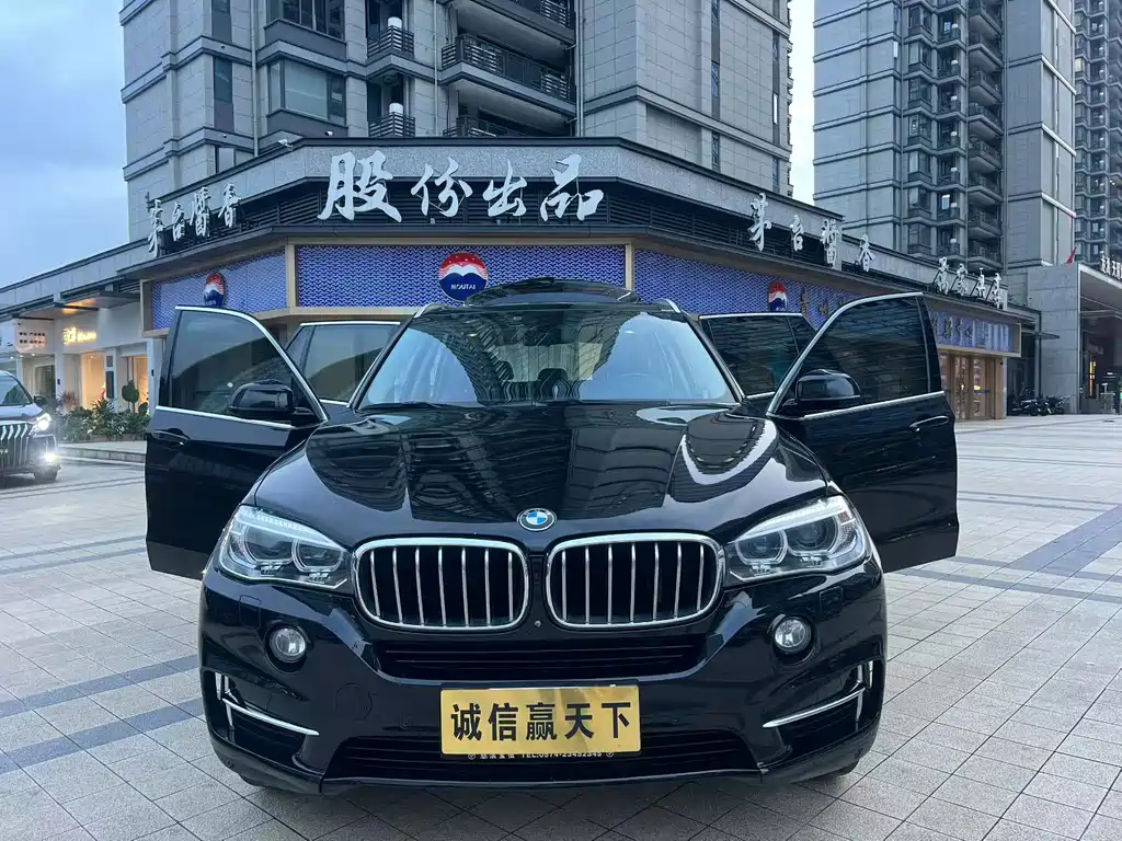 BMW X5 (Import) — миниатюра 2