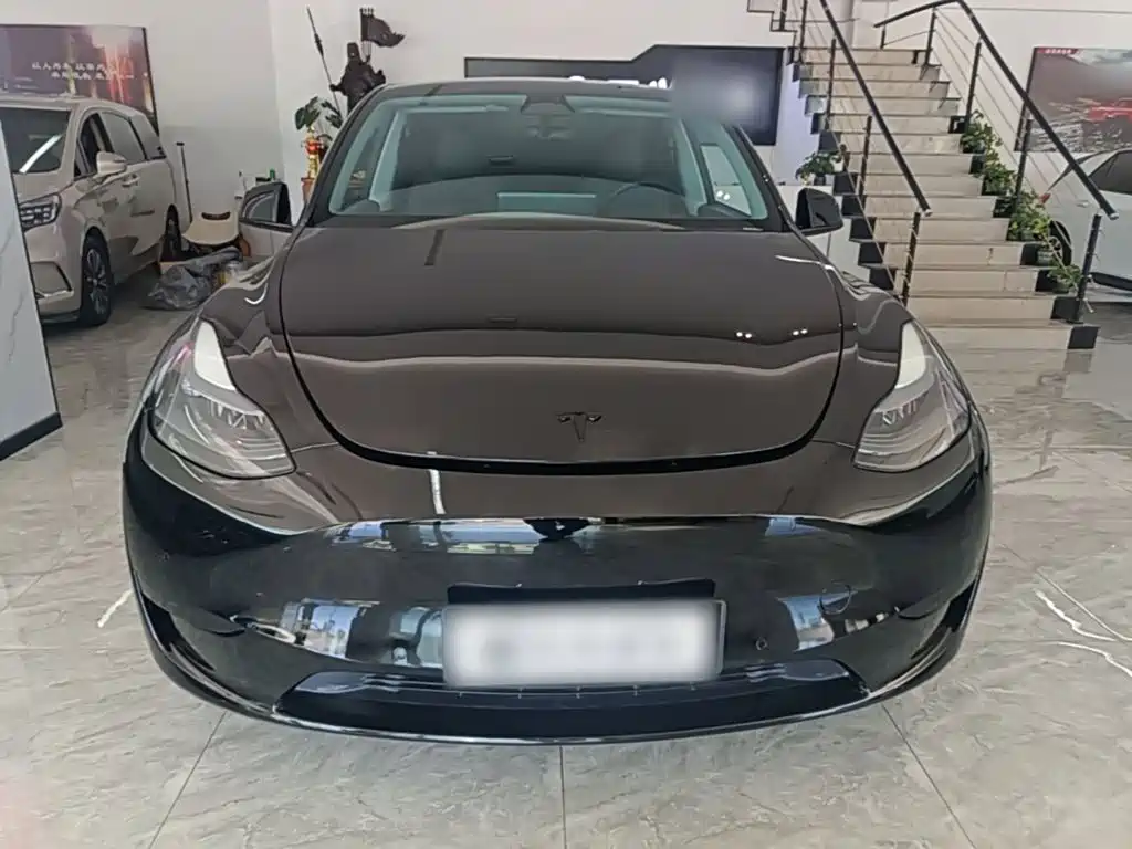Tesla Model Y — миниатюра 3