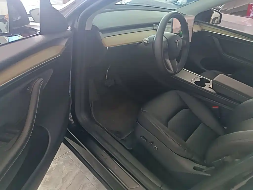 Tesla Model Y — миниатюра 16
