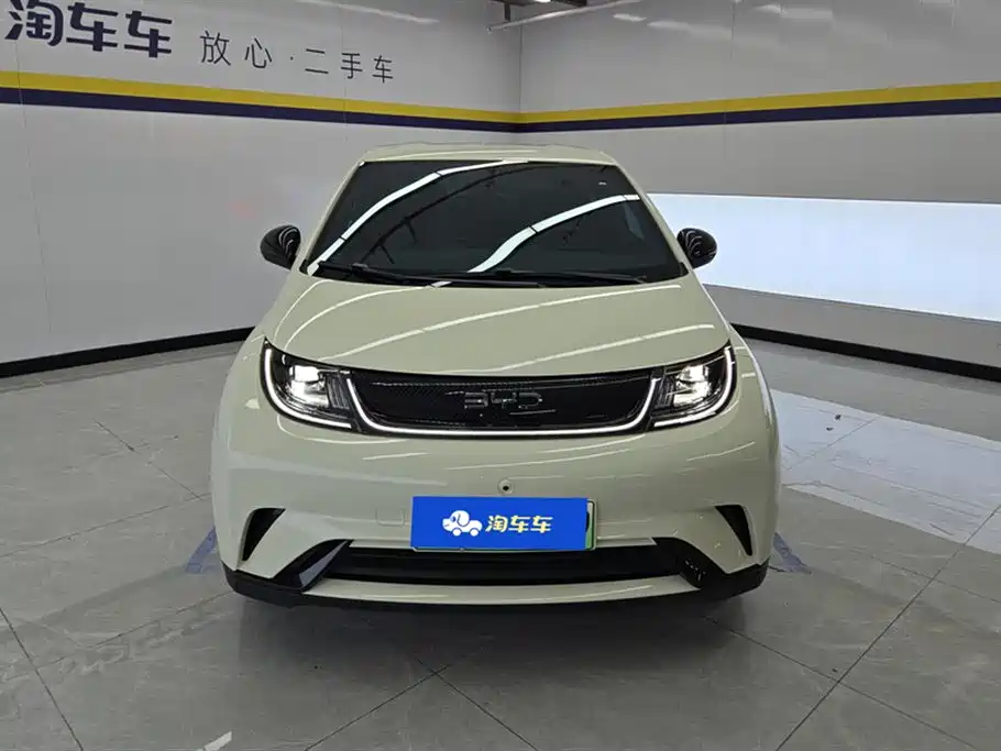 BYD Dolphin 2025 420km Freedom