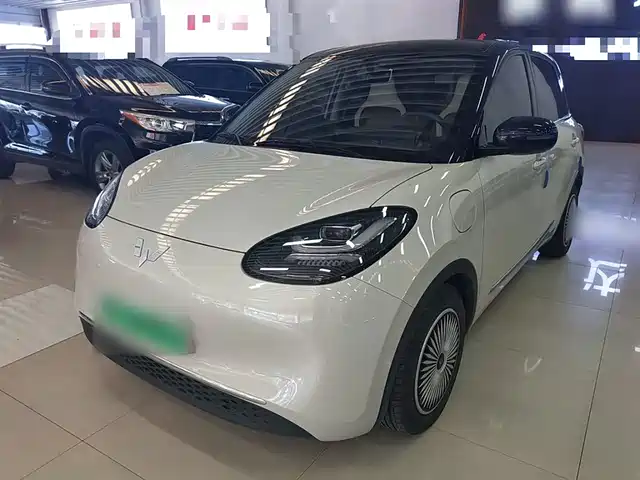 WULING AUTOMOBILE WULING BINGGUO 2024