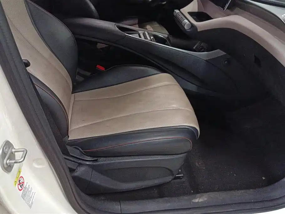BYD Dolphin 2023 420km Fashion