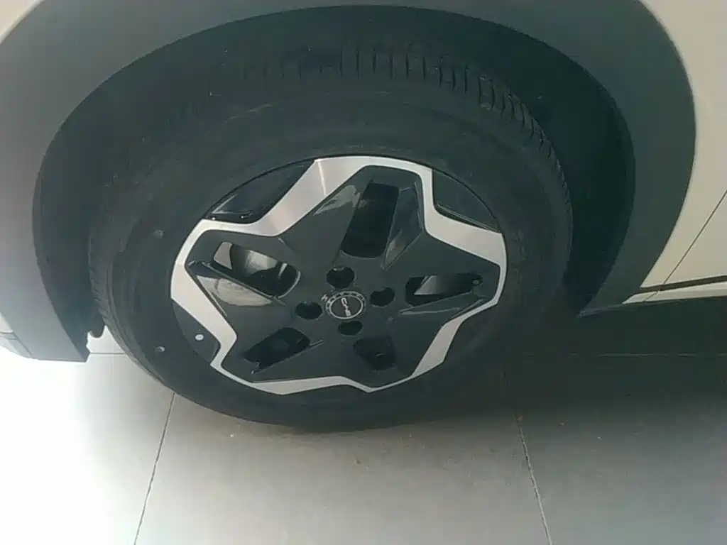 BYD Dolphin — миниатюра 23