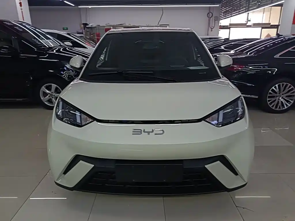 BYD Seagull 2024 305km Freedom