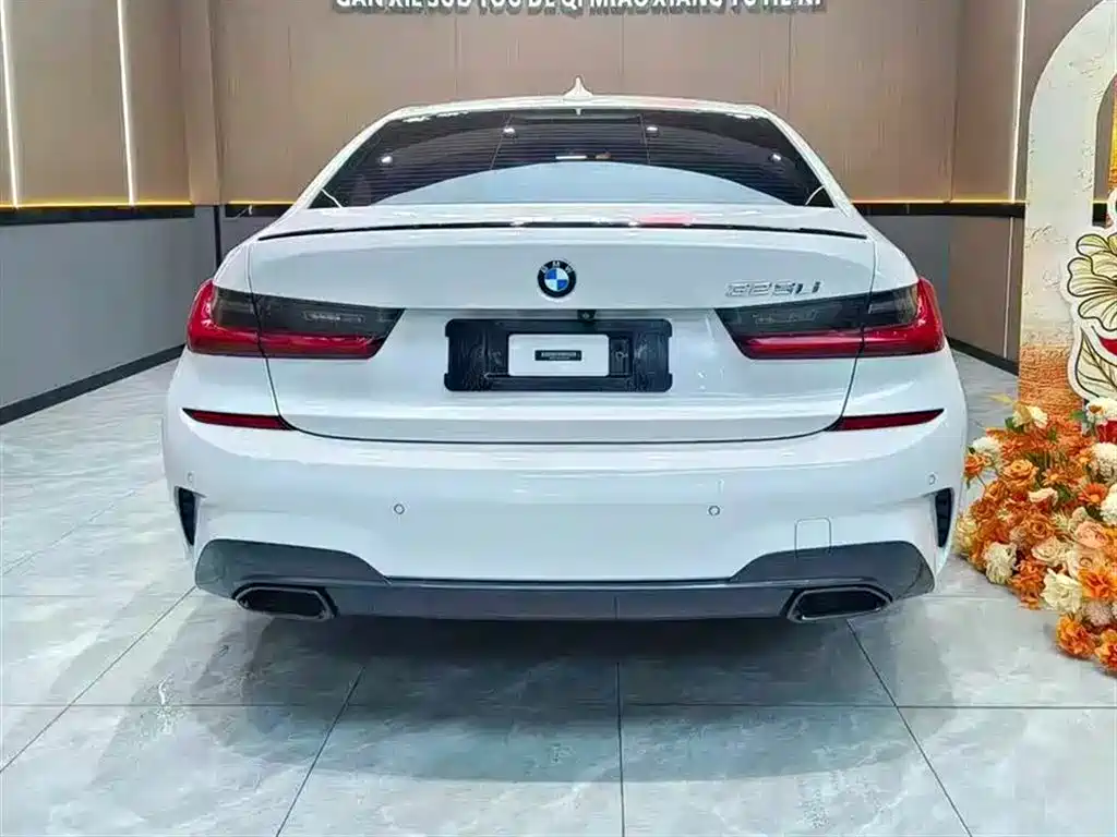 BMW 3 Series 3 2020 325Li