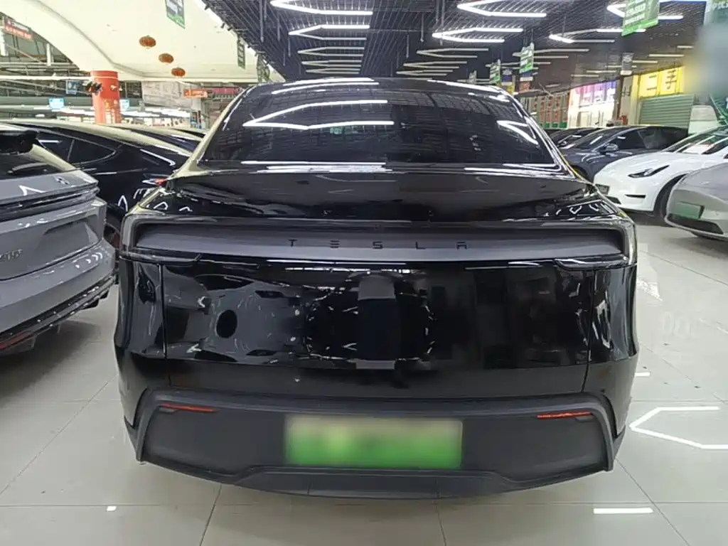 Tesla Model Y — миниатюра 6