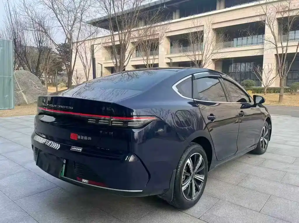 BYD Destroyer 05 2024 DM-i 55KM Luxury