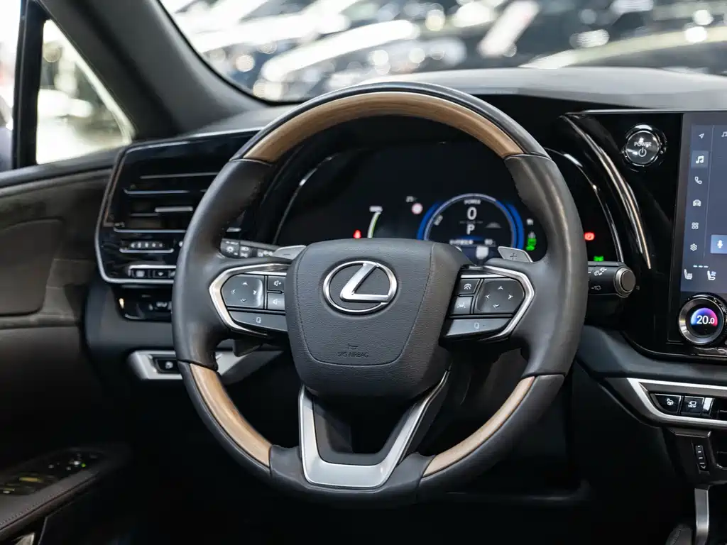 Lexus RX New Energy — миниатюра 14
