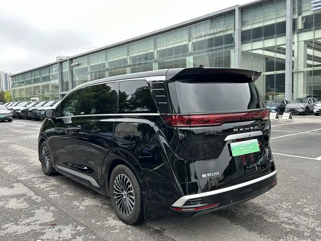 Denza Denza D9 — миниатюра 10