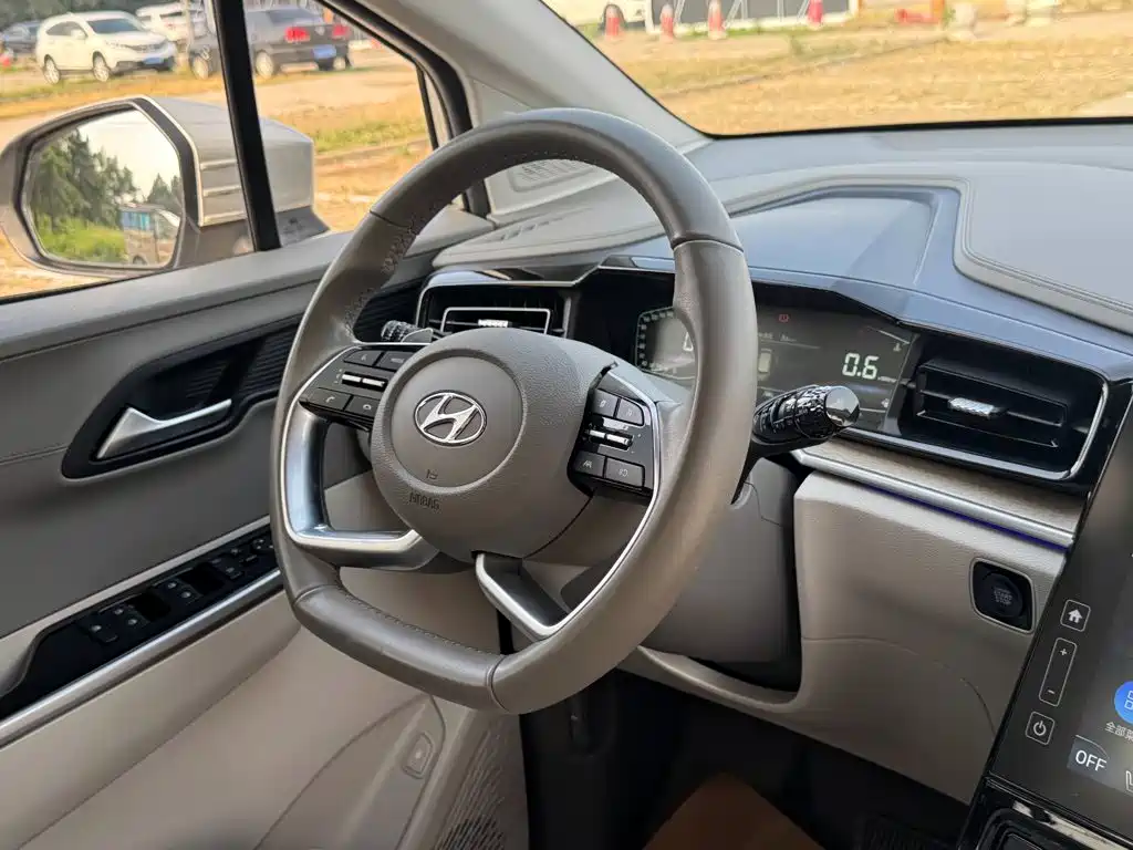 Hyundai Custo — миниатюра 32