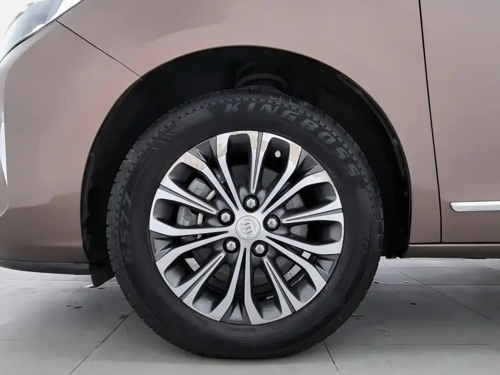 Buick GL8 — миниатюра 17