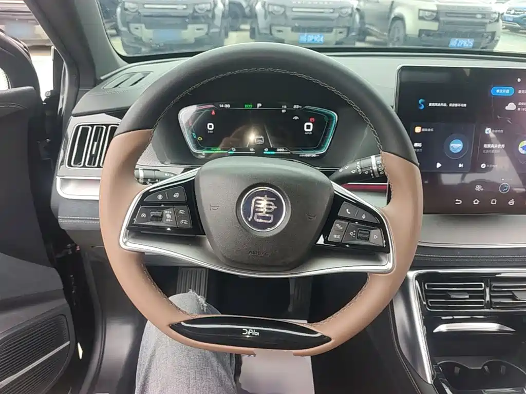 BYD Tang New Energy — миниатюра 11