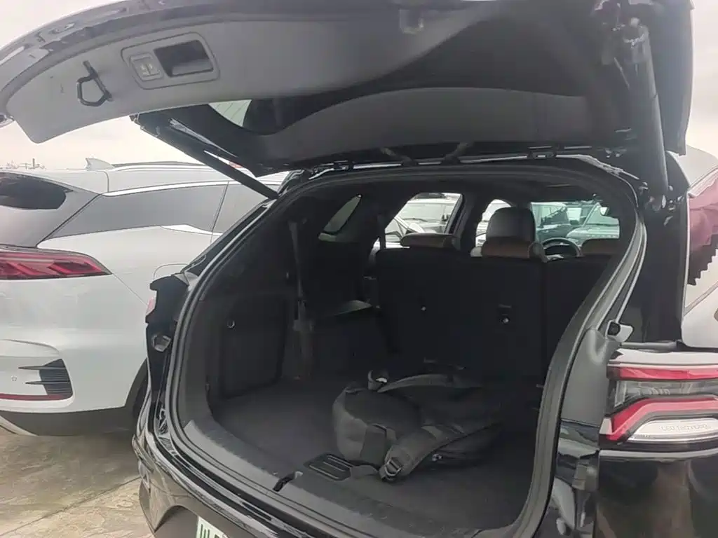 BYD Tang New Energy — миниатюра 19