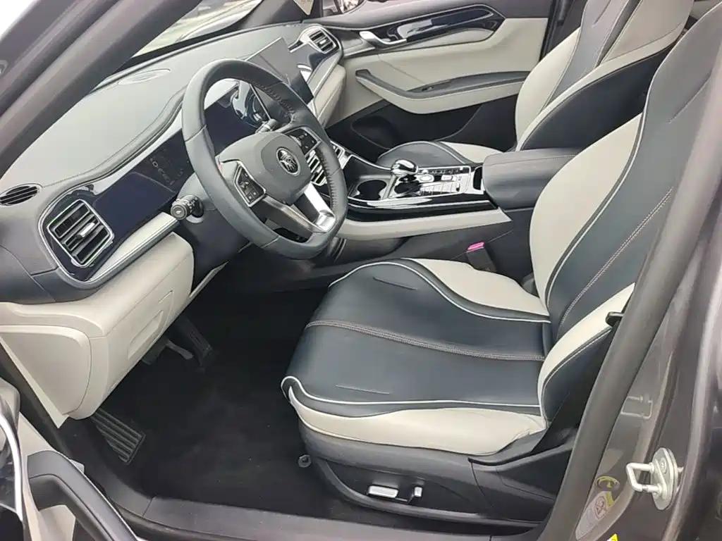 BYD Qin PLUS — миниатюра 15