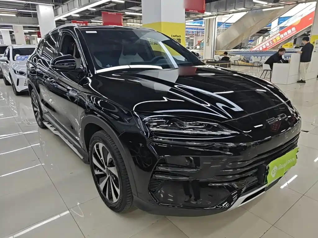 BYD PLUS New Energy — миниатюра 4