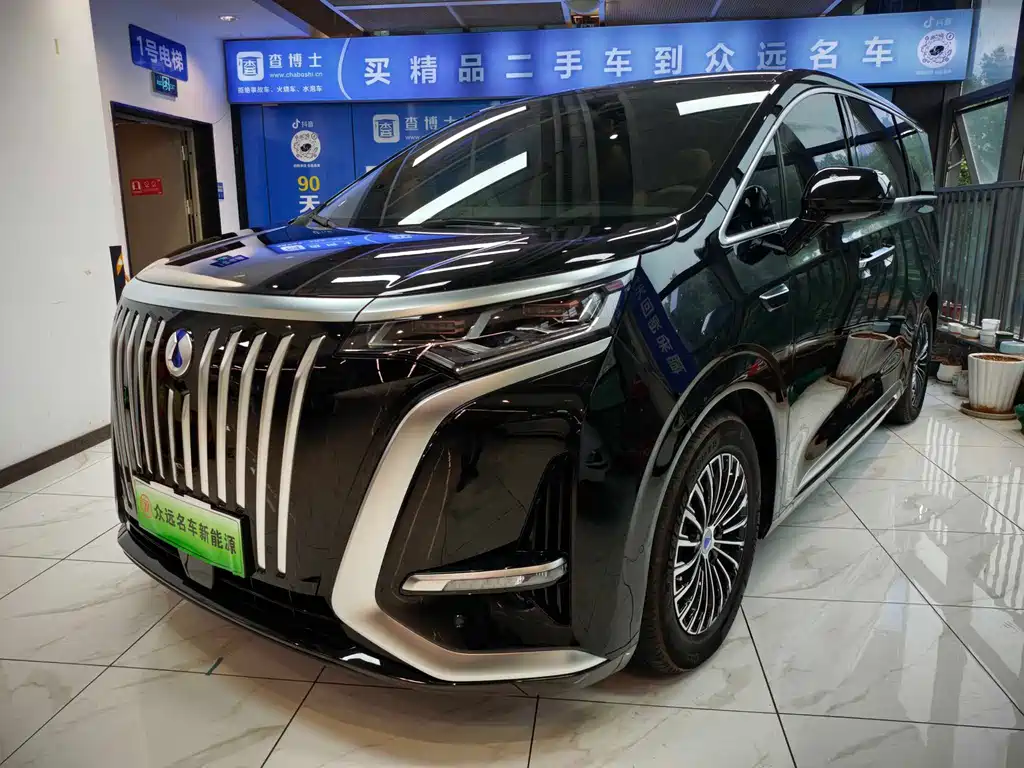 Denza Denza D9