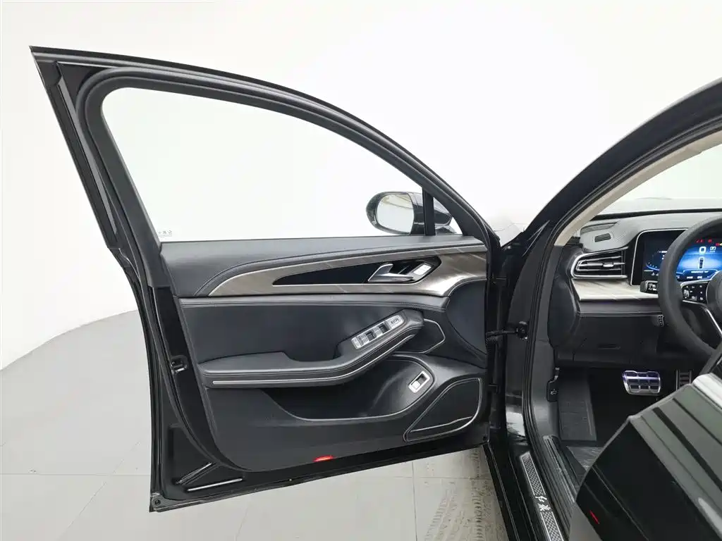 Hongqi H9 2020 2.0T