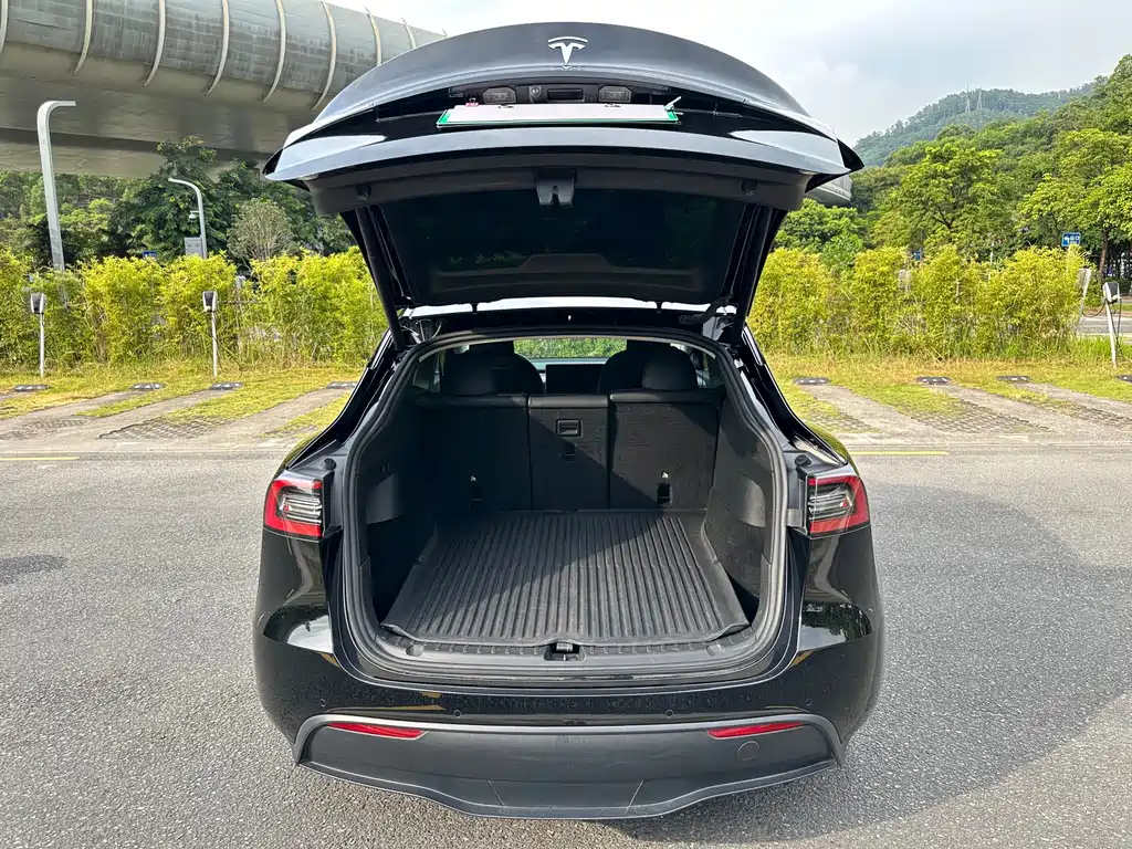 Tesla Model Y — миниатюра 18