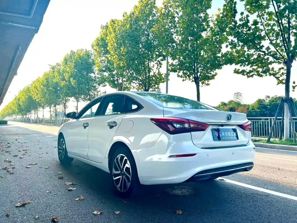 CHANGAN YIDONG NEW ENERGY