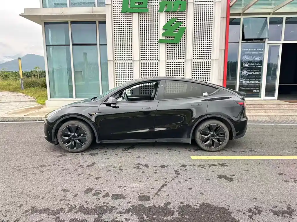 Tesla Model Y — миниатюра 5