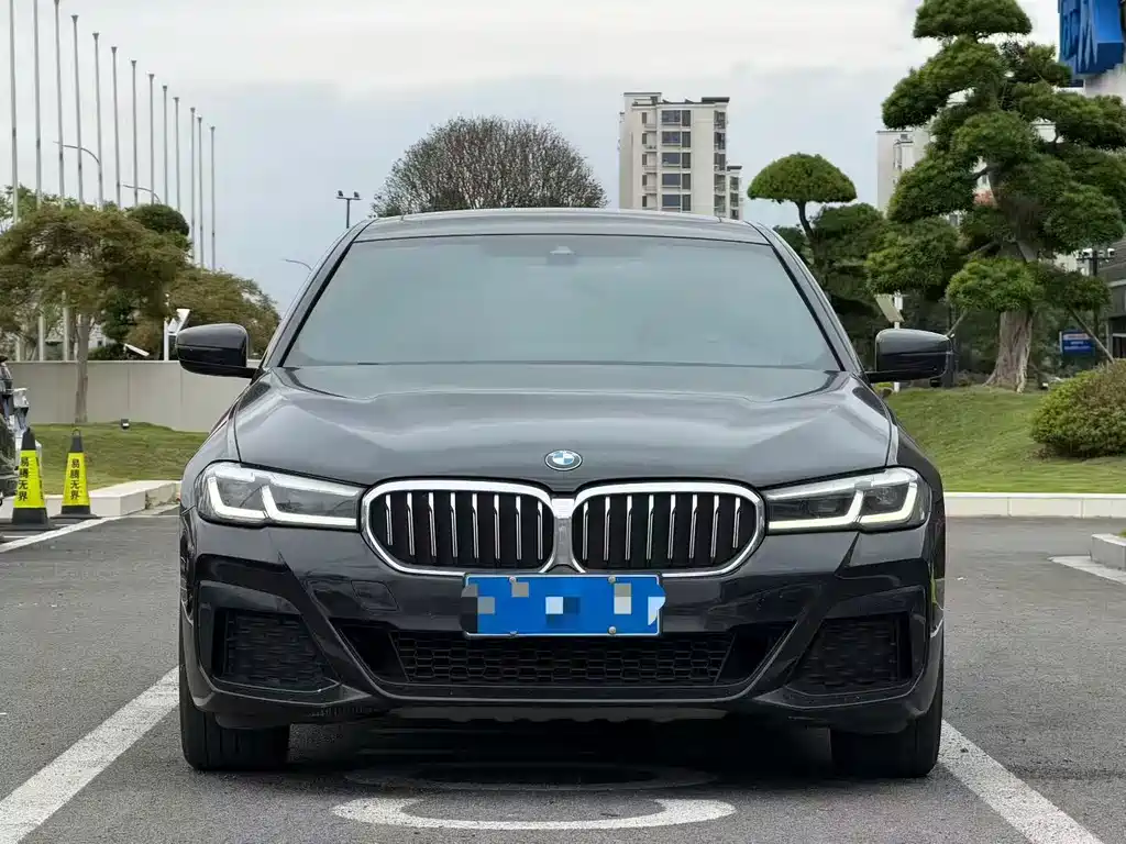 BMW 5 Series — миниатюра 2