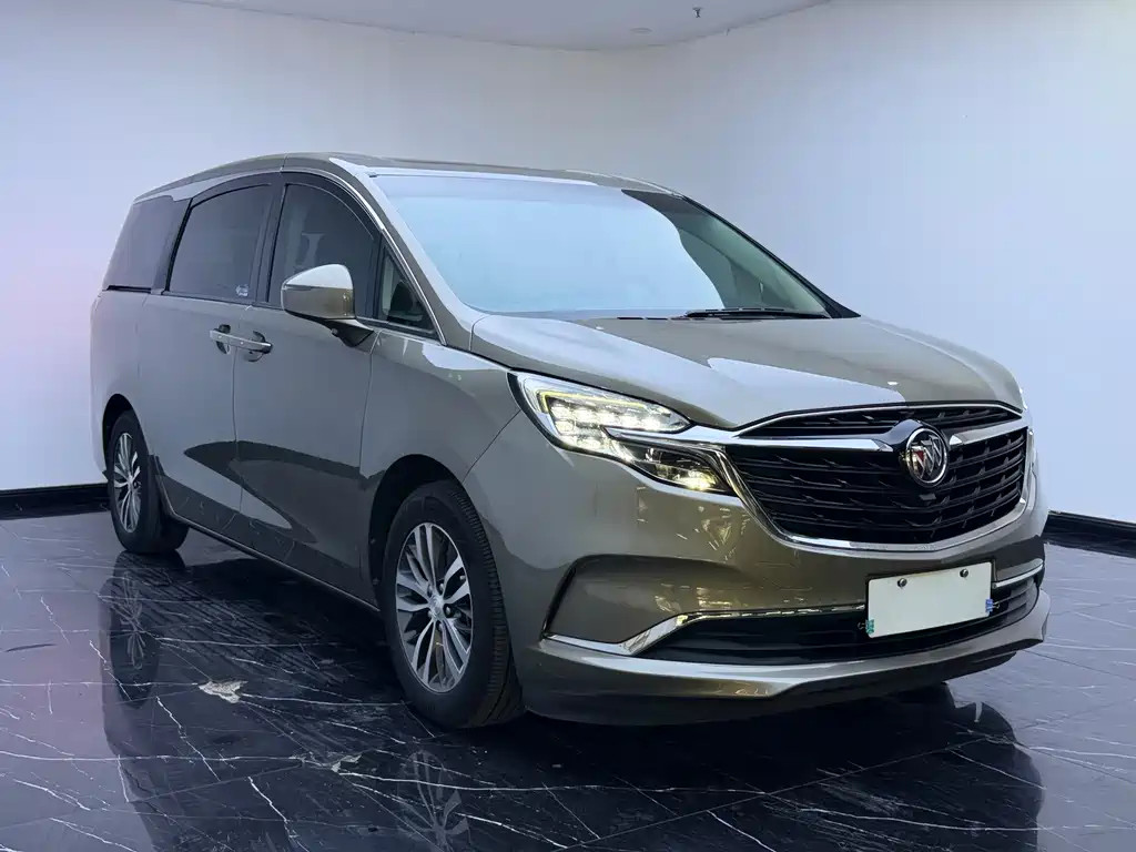 Buick GL8 — миниатюра 3