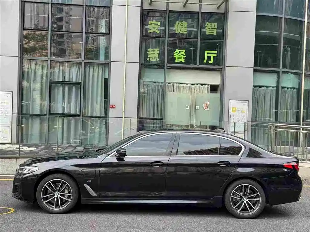 BMW 5 Series New Energy — миниатюра 2
