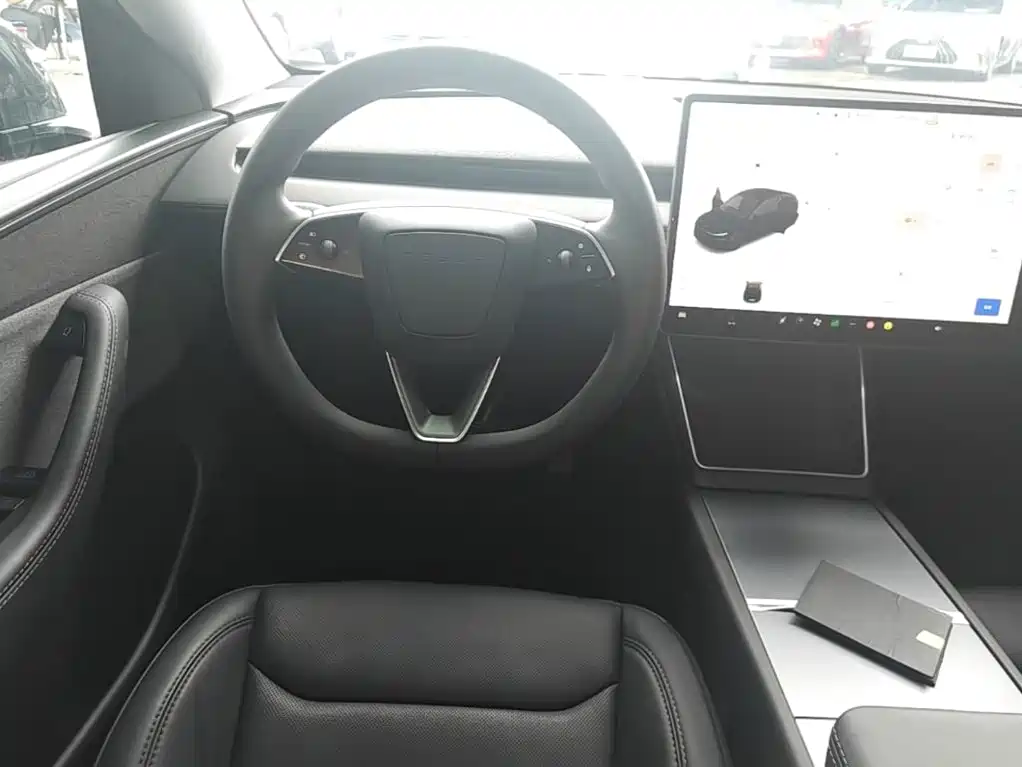 Tesla Model Y — миниатюра 11