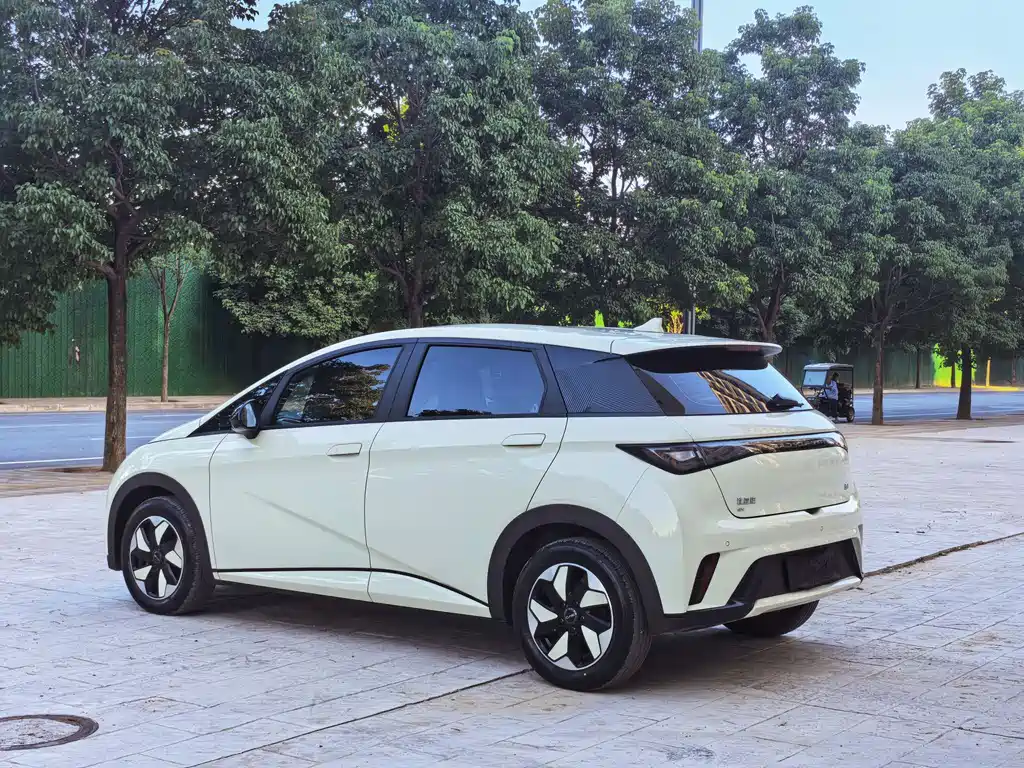 BYD Dolphin 2025 420km Freedom