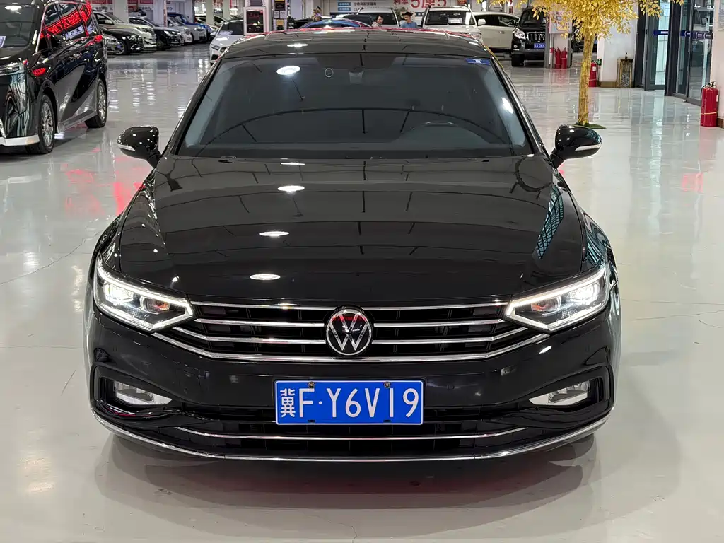 Volkswagen Magotan — миниатюра 2