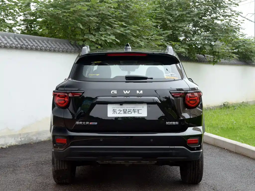 Haval Big Dog PLUS — миниатюра 8