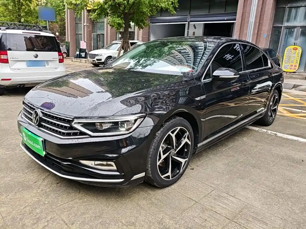 Volkswagen Magotan — миниатюра 2