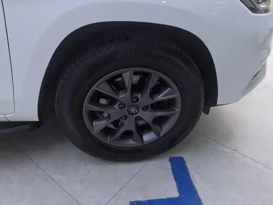 BYD Song — миниатюра 6