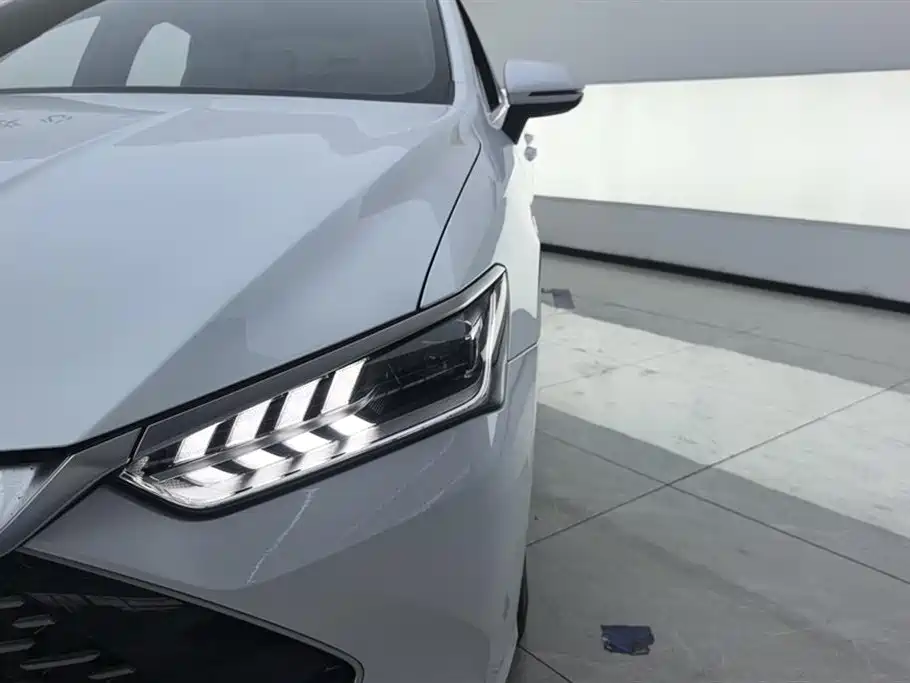BYD Qin Plus PLUS 2024 DM-i 55KM Lead