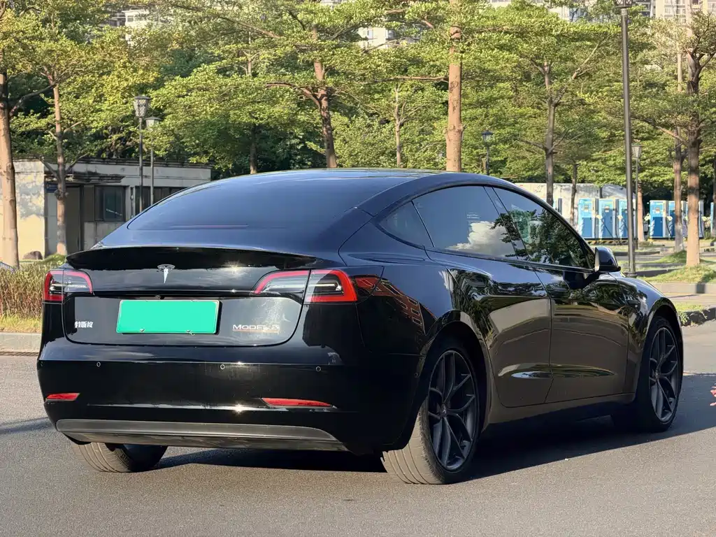 Tesla Model 3 — миниатюра 5